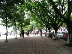 -西南政法大学(渝北校区)