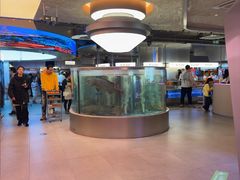 -海底捞大排档火锅(打浦路店)