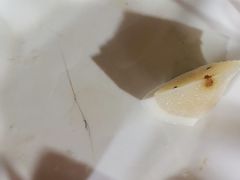 -范饭椰林川湘味海鲜·椰子鸡(三亚湾椰梦长廊店)