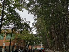 -广东外语外贸大学(白云山校区)