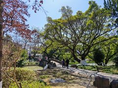 -江心屿景区