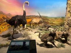 -国家自然博物馆