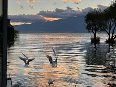 -璞真扎染博物馆