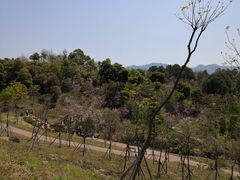 -聚龙山公园