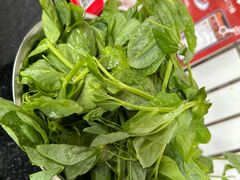 豌豆尖-老来福·非遗酸汤兔(凯旋路店)