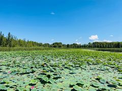 -野鸭湖国家湿地公园
