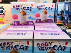 -酷乐潮玩(金桥国际店)