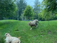 -北京野生动物园