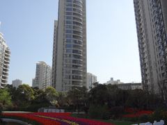 -新湖明珠城
