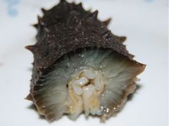 海参横切面肥厚-宫品海参专卖店(静安大宁店)