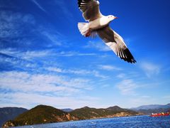 -丽江泸沽湖景区