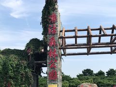 -塘沽森林公园