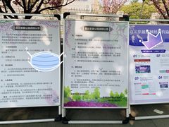 -嘉定紫藤园