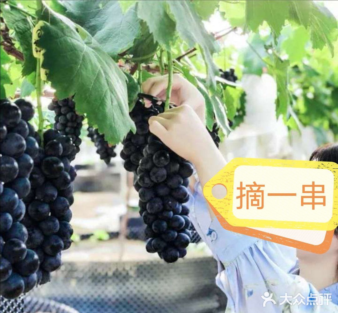 夏日遛娃丨远离喧嚣的人群，享受郊野的稀疏