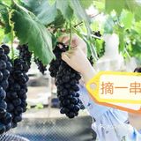 夏日遛娃丨远离喧嚣的人群，享受郊野的稀疏