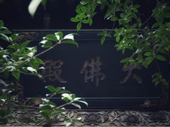 -洛阳白马寺