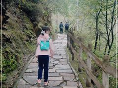 -大岭沟猕猴桃谷风景区