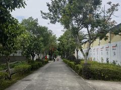 -光明农场大观园