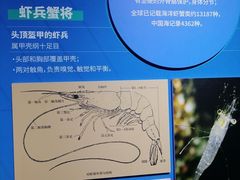 -重庆自然博物馆(新馆)