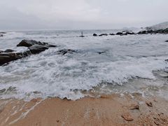 -广东惠东海龟国家级自然保护区