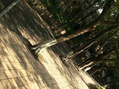 -西南政法大学(沙坪坝校区)