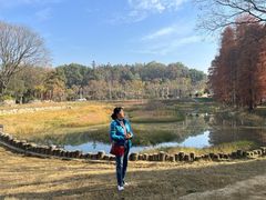 -青龙山国家森林公园