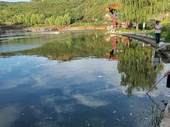 -五龙城郊森林公园