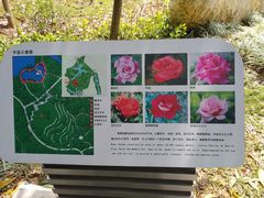 -聚龙山公园