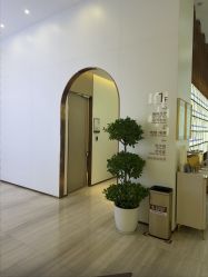 -深圳美莱医疗美容医院