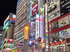 -秋叶原电器街