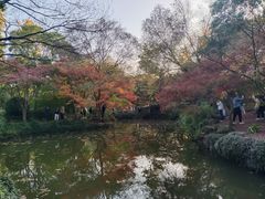 -秋霞圃