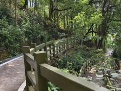 -广州市流溪河国家森林公园