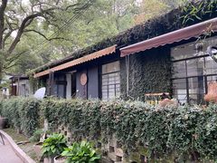 -凤凰御元艺术基地