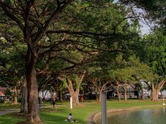 -东海岸人工湖美食村