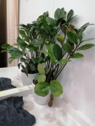 -MB·nail美甲美睫