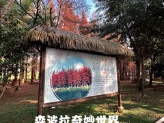 -森波拉奇妙世界