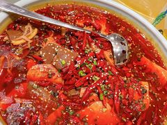 海鲜毛血旺-蓝海大饭店·渔歌舫(黄岛店)