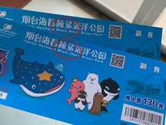 -烟台海昌鲸鲨海洋公园