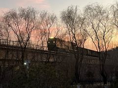 -永定河休闲森林公园