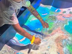 -珠海横琴国家地理探险家中心(创新方)