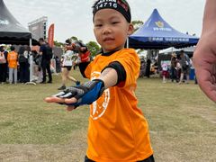 -春花秋色城市公园