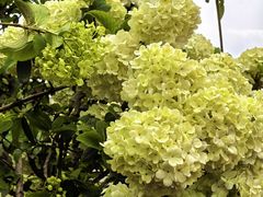 -大龙山(地铁站)