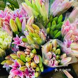 迅捷鲜花批发  《汉中门大街鲜花批发市场》