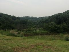 -羊山湖公园
