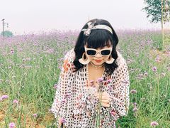 -大塘金香草谷