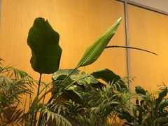 -Wagas沃歌斯(汇智店)