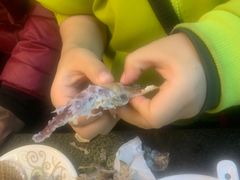-京秀缘蒸汽海鲜农家菜大馅蒸饺