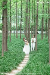 点击看大图 -青禾蒙娜丽莎婚纱摄影(武汉总店)