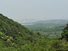 -韬光茶庵