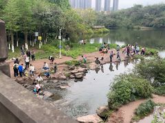 -重庆彩云湖湿地公园